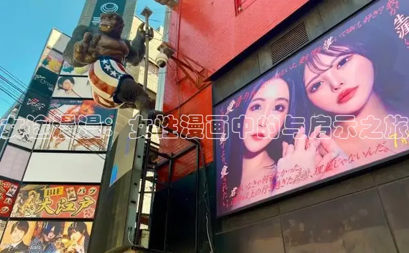 五一动画网页版