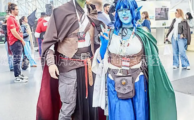 51动画网页版官网